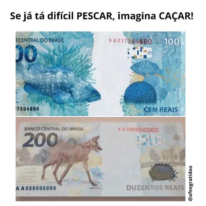 O lobo-guará e o&nbsp;galinheiro