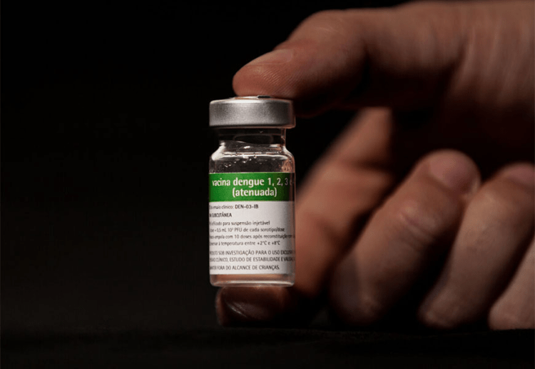 Butantan anuncia vacina contra a dengue com eficácia de&nbsp;79,6%