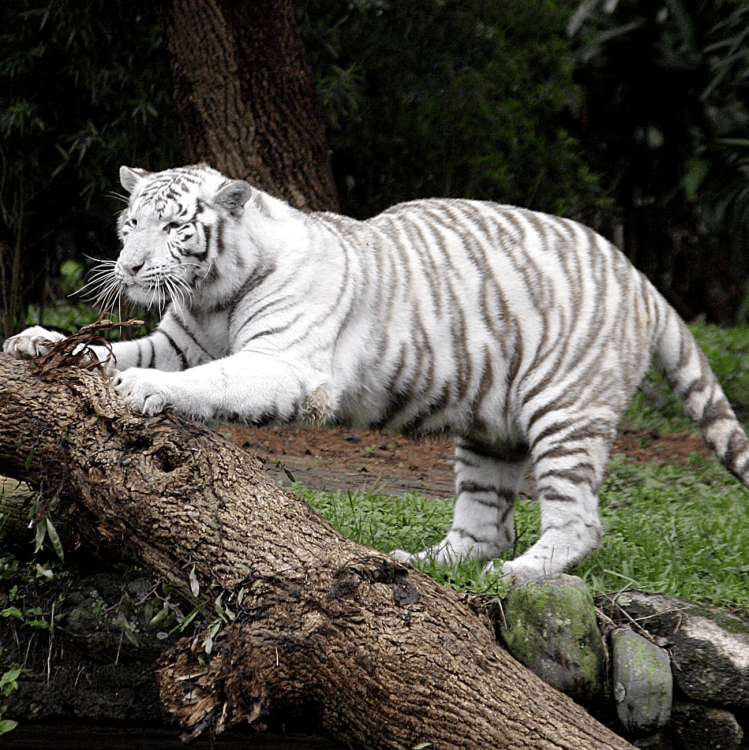 Dicas iluminadas para o&nbsp;fim-de-semana