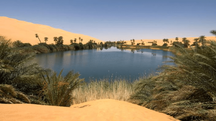 Água segura é direito público&nbsp;universal