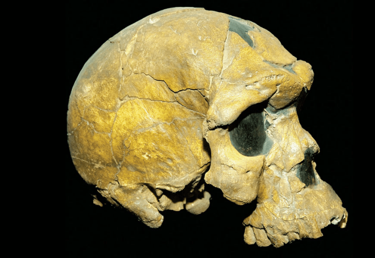 Manchetes do dia –&nbsp;4.6.2023