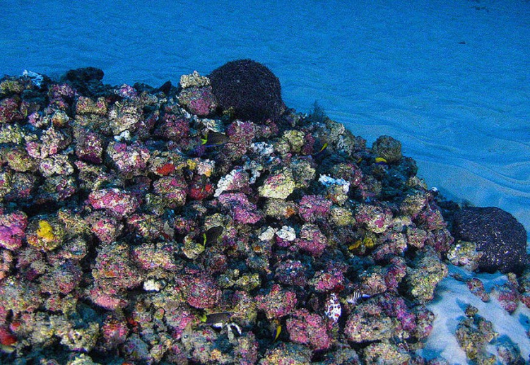 Manchetes do dia –&nbsp;26.8.2023