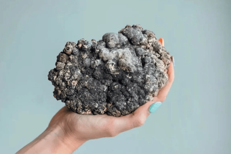 Manchetes do dia –&nbsp;4.9.2023