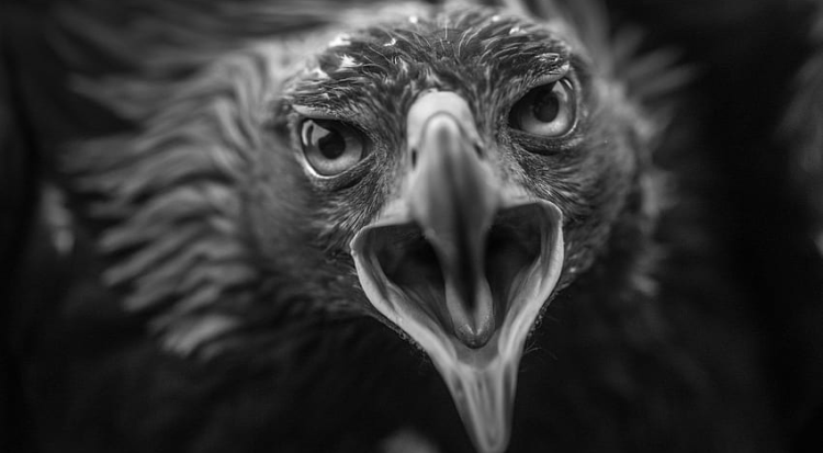 Manchetes do dia –&nbsp;28.12.2023