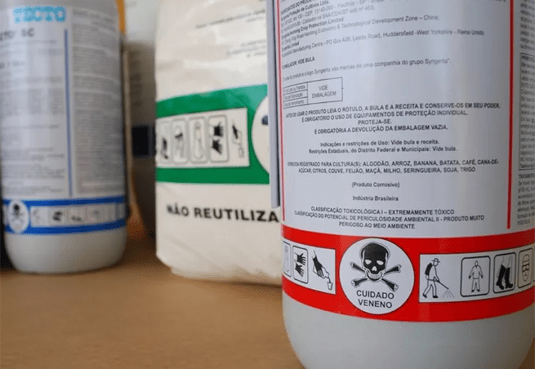 Manchetes do dia –&nbsp;31.12.2023