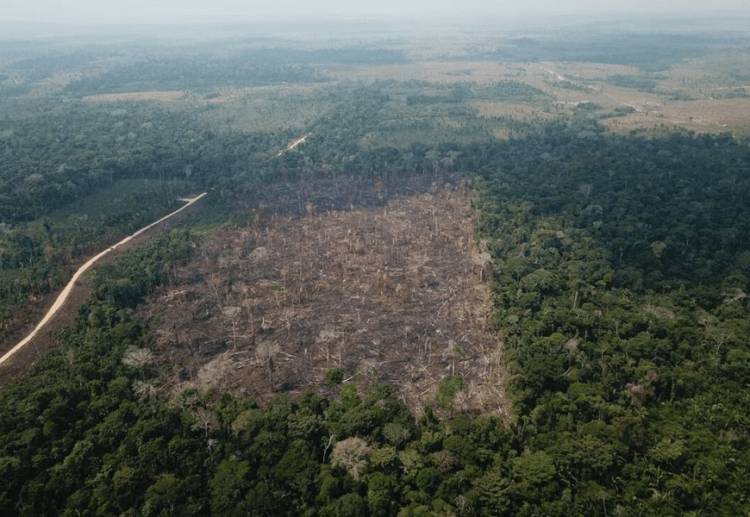 Manchetes do dia –&nbsp;4.1.2024