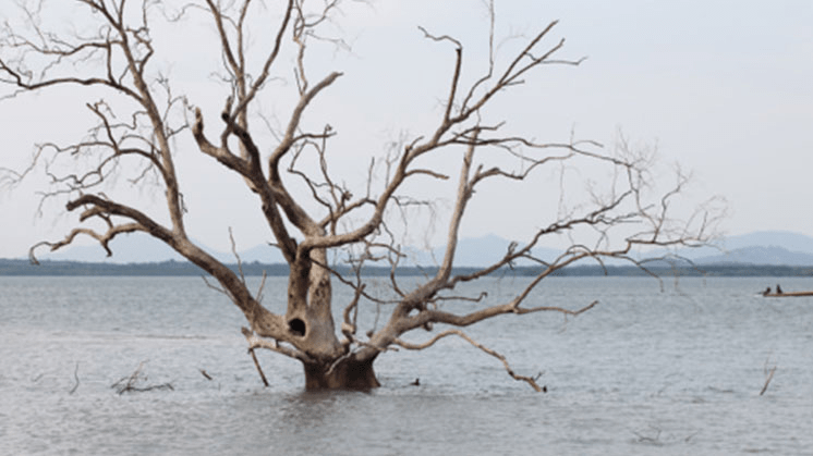 Estudo da NASA aponta para a elevação do nível dos oceanos nas próximas&nbsp;décadas