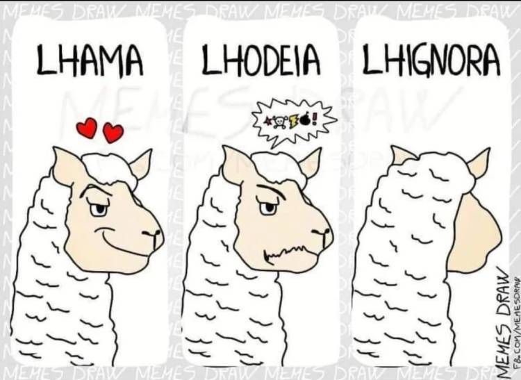 Gotas de Humor em Português – edição do&nbsp;aniversariante