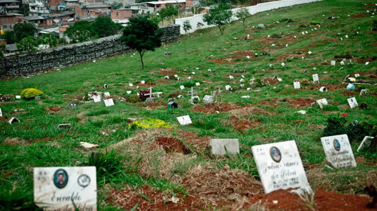 Manchetes do dia –&nbsp;4.11.2024