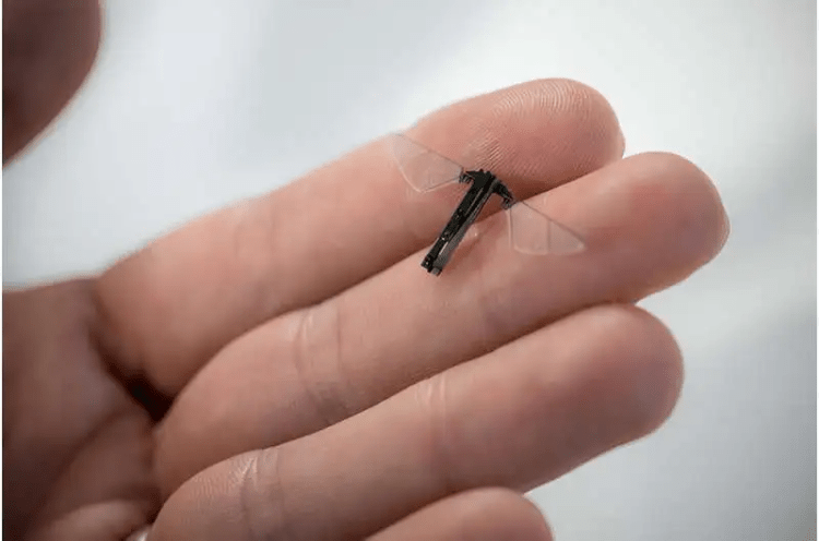 Insetos robóticos polinizadores