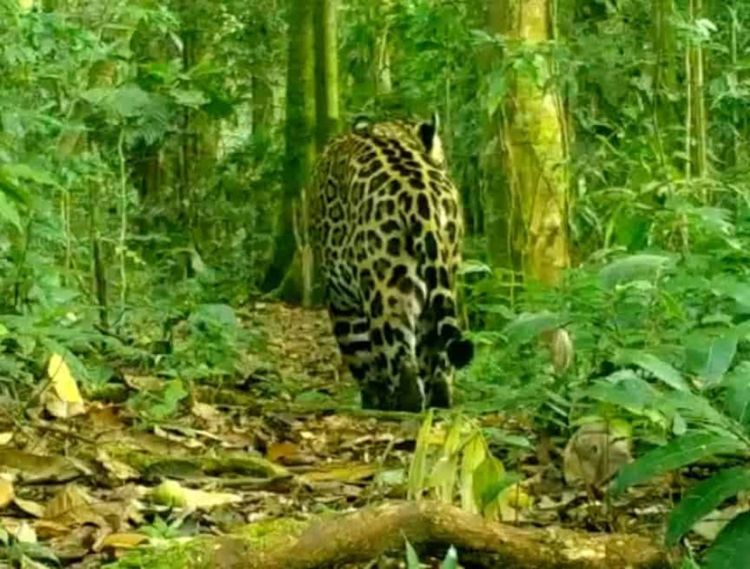 Leituras de domingo –&nbsp;15.6.2025