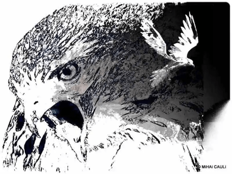 Leituras de domingo –&nbsp;14.9.2025