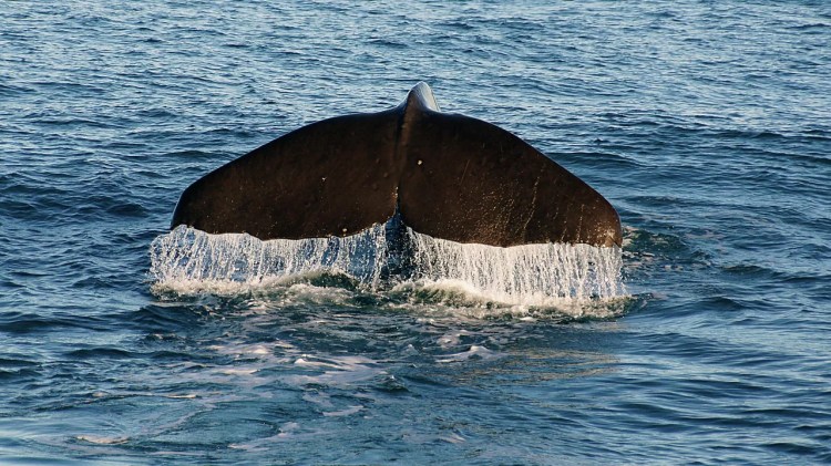 Leituras de domingo –&nbsp;19.4.2026